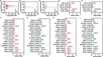 Prognostic Signatures Based on Ferroptosis- and Immune-Related Genes for Cervical Squamous Cell Carcinoma and Endocervical Adenocarcinoma